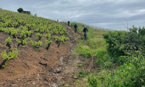 Balade sur les hauteurs du Beaujolais -  Loisirs Motorsports à Anse