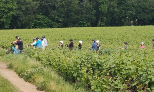 Balade sur les hauteurs du Beaujolais -  Loisirs Motorsports à Anse